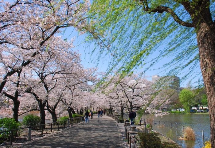 Khám phá công viên Ueno: điểm đến lâu đời nhất tại Tokyo 4