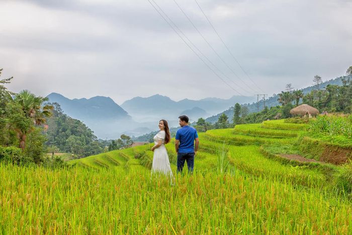 Mùa vàng ở Khuổi My giống như một bức tranh sống động trên cao nguyên đá của Hà Giang