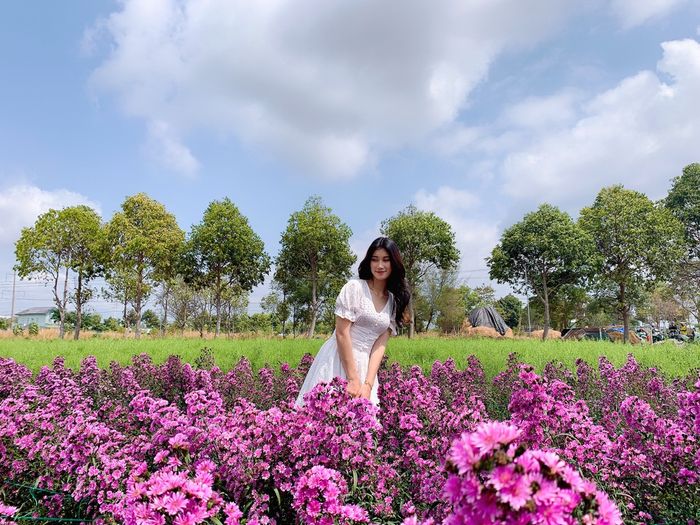 Một không gian tím mộng mơ nhẹ nhàng trải dài với sắc hoa thạch thảo ở Vũng Tàu 10