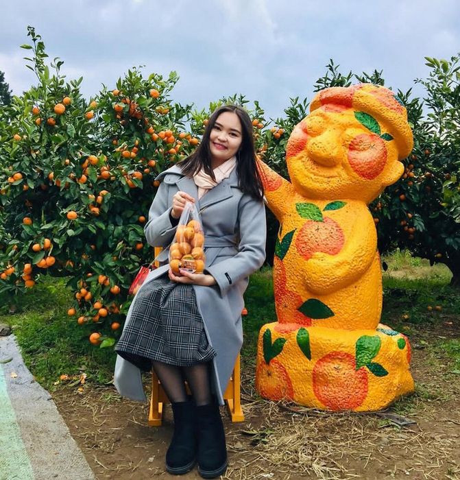 Trải nghiệm hương vị độc đáo của quýt Jeju, tinh hoa từ đảo thiên đường Hàn Quốc