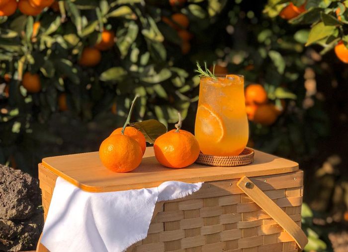 Khám phá hương vị tinh túy của quýt Jeju, đặc sản từ đảo thiên đường Hàn Quốc