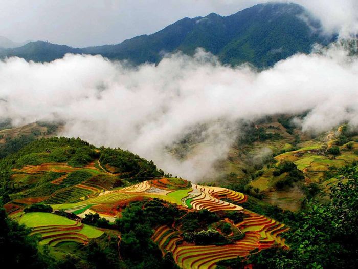 Sau 3 tháng bị kẹt lại Hà Giang vì Covid-19, chàng trai chia sẻ lại trải nghiệm của mình.