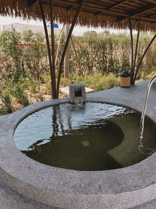 Đánh giá toàn diện và chi tiết nhất về Suối nước nóng Bình Châu - cập nhật 2024 4