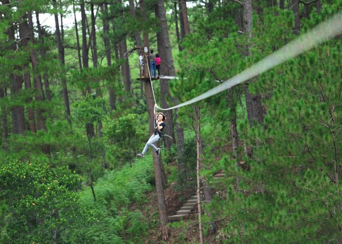 Thách thức bản thân với trò đu dây zipline tại Datanla High Rope Course, một trải nghiệm không thể bỏ qua