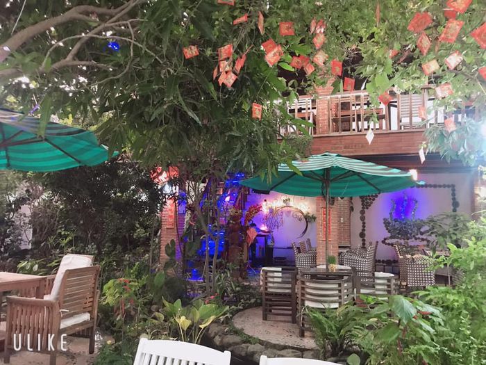 Thưởng thức món bún chả nổi tiếng tại Cafe Bạch Dương Phú Yên 4