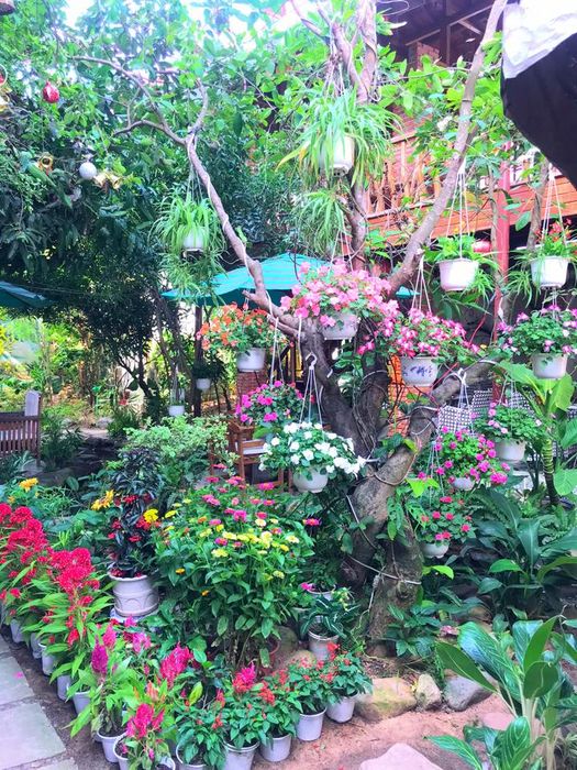 Khám phá hương vị món bún chả nổi tiếng tại Cafe Bạch Dương Phú Yên 5