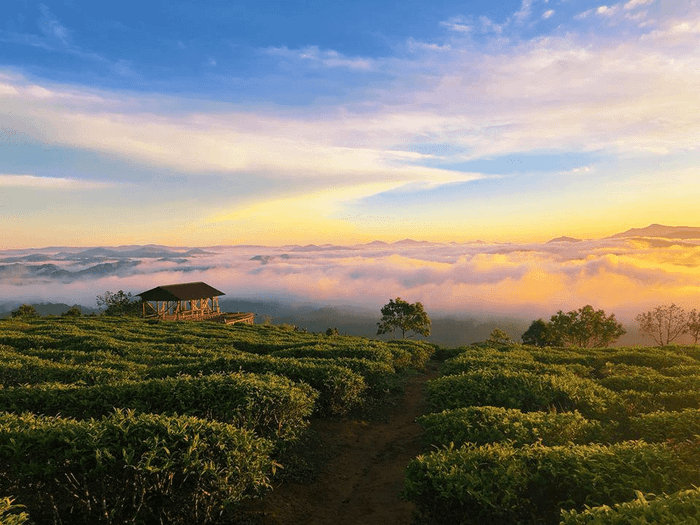 Gợi ý lịch trình tour Đà Lạt 4 ngày 3 đêm tự túc ăn chơi tẹt ga 2