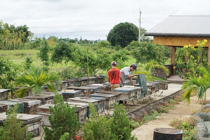 Gợi ý lịch trình du lịch Đà Lạt 4 ngày 3 đêm tự do thú vị