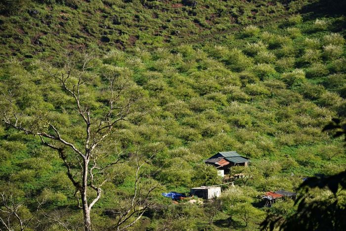 Trekking Mu Náu - Phiêng Cành trên đỉnh Mộc Châu 8