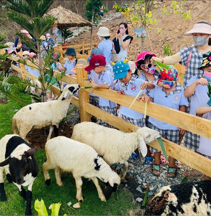 Ulala Farm gần bờ biển Vũng Tàu, là điểm đến thú vị cho trẻ nhỏ khám phá.