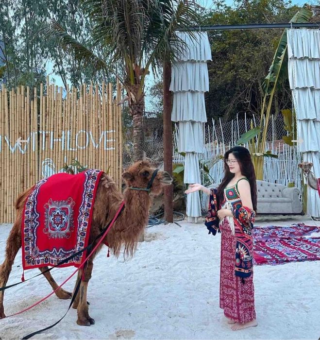 Ulala Farm gần bờ biển Vũng Tàu, là nơi bạn có thể tương tác với các thú cưng mới mẻ.
