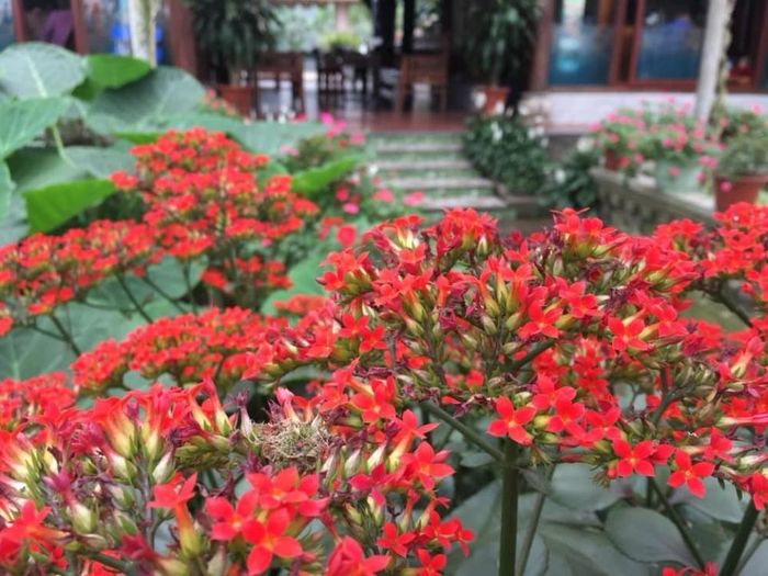 Thưởng thức bữa ăn và ngắm view sông tại Nhà hàng Thuyền Chài 15 là một trải nghiệm không thể bỏ qua