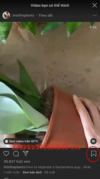 cách lưu video trên Instagram - Bước 1