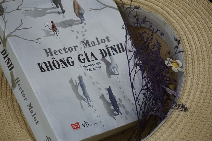 Kết quả hình ảnh cho Không Gia Đình