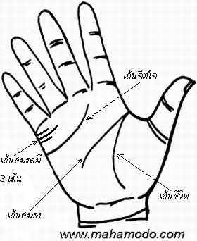 การสังเกตลายมือ