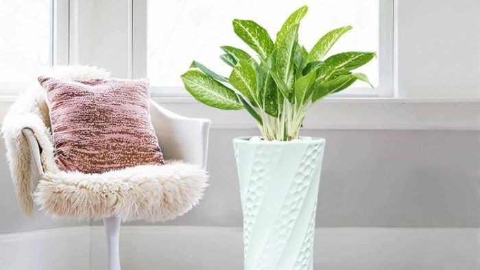 Những bí quyết thu hút tài lộc vào nhà