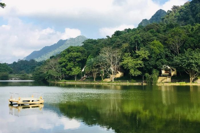 Vườn quốc gia Cúc Phương, với vẻ đẹp thiên nhiên hoang sơ, luôn là một trong những điểm đến nổi bật của khu vực.