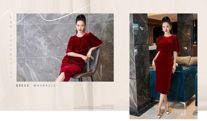 Thương hiệu đầm dạ hội HeraDG