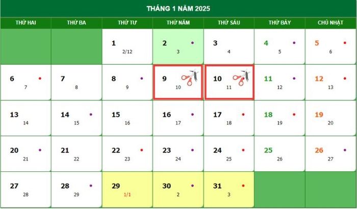 Những ngày tốt để cắt tóc trong tuần thứ hai của tháng 1