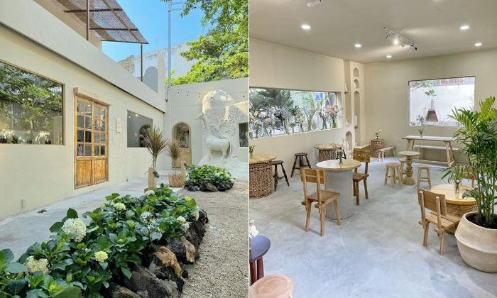 Saha Coffee -