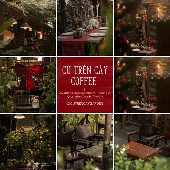 Cú Trên Cây Coffee - Quán cafe xanh mát tại Bình Thạnh