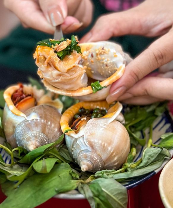 Các quán ốc ngon tại Đà Nẵng