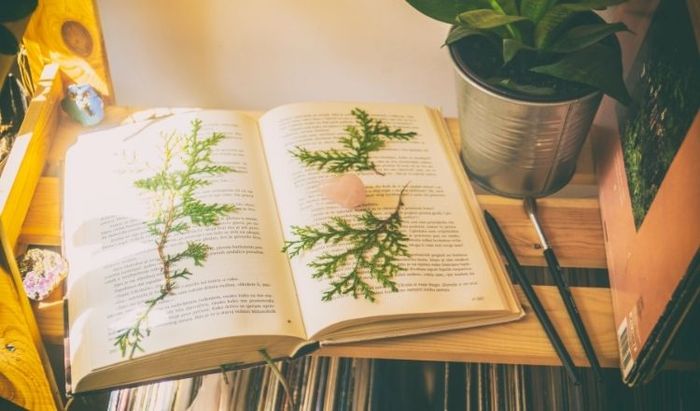 Khám phá giá trị thực tế mà việc đọc sách mang lại