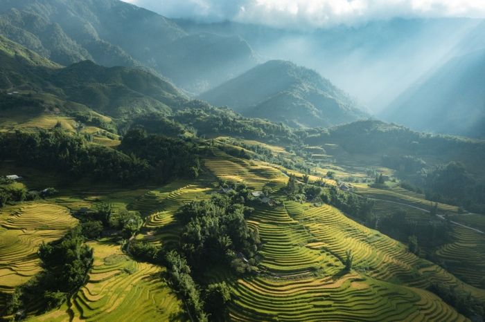 Tả Phìn thuộc tỉnh Lào Cai.