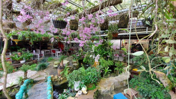 Quán cafe Vườn Trà Coffee tại Huế