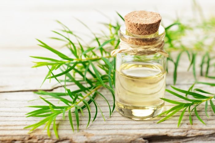 Dùng tinh dầu để xông hơi nhà cửa