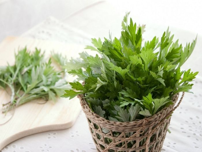 Ứng dụng ngải cứu trong việc xông nhà