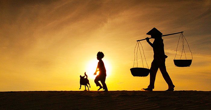 Soạn bài Về thăm mẹ: Hướng dẫn chi tiết và sâu sắc
