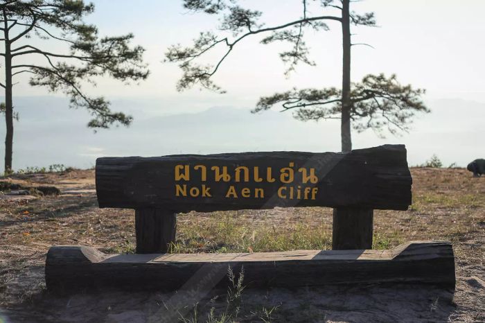 สัมผัสกับความงดงามของท้องฟ้าที่อุทยานแห่งชาติ 'ภูกระดึง'