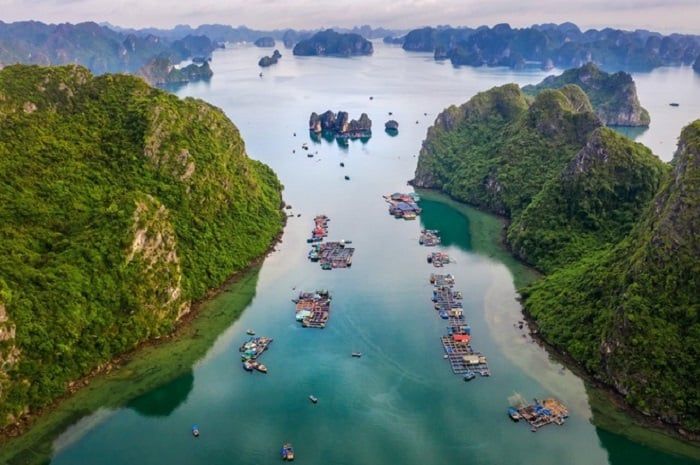 quảng ninh