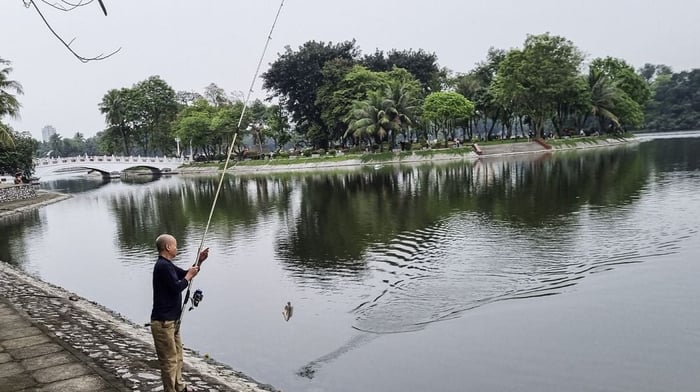 Hồ Bảy Mẫu