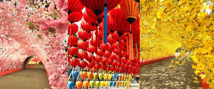 Hướng dẫn sử dụng voucher Grand World 