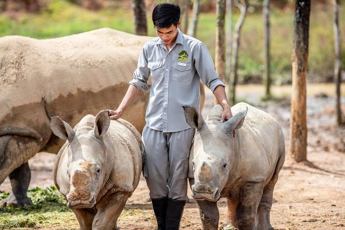 khu vui chơi Vinpearl Phú Quốc