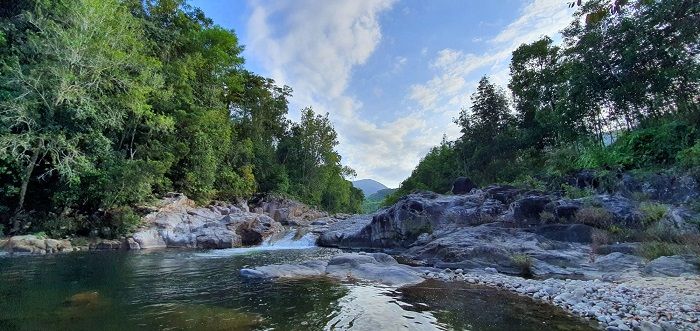 Rừng Khủng Long Nha Trang