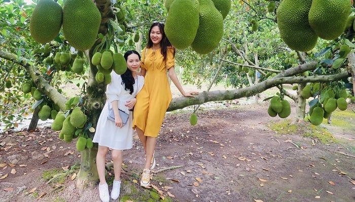 Vườn-trái-cây-Cần-Thơ