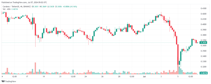 Cardano