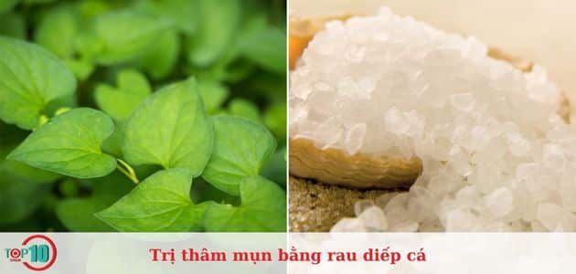 Mặt nạ trị mụn ẩn với rau diếp cá và muối biển