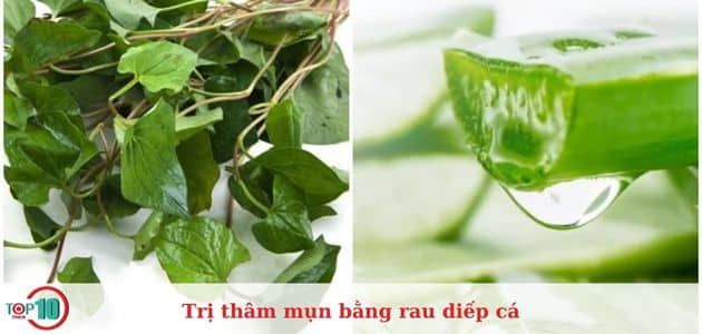 Trị mụn bằng rau diếp cá kết hợp nha đam