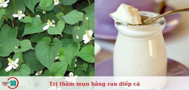 Giảm thâm mụn với rau diếp cá và sữa chua