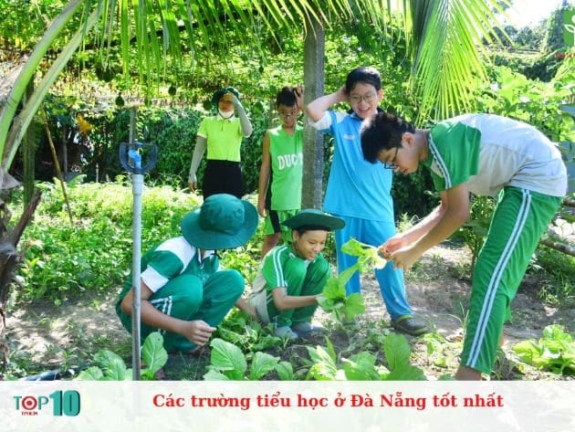 Những trường tiểu học tốt nhất tại Đà Nẵng