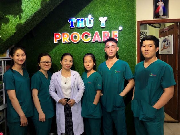 Procare