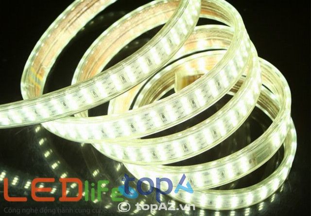 LED Life Việt Nam - Tiên phong trong lĩnh vực chiếu sáng thông minh