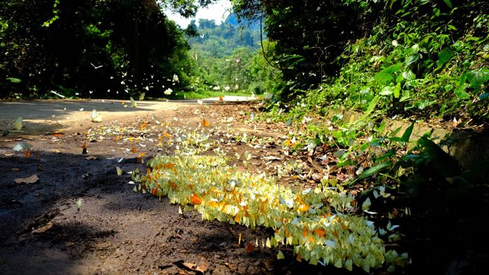 những điểm đến gần Hà Nội vào mùa hè