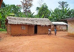 Lá chuối, Cameroon