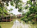 Thử thách đi cầu khỉ trong khu du lịch