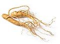 Sâm Hàn Quốc nuôi trồng (P. ginseng)